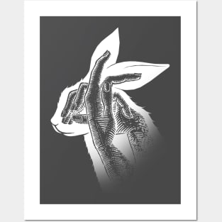 Lapin blanc Posters and Art